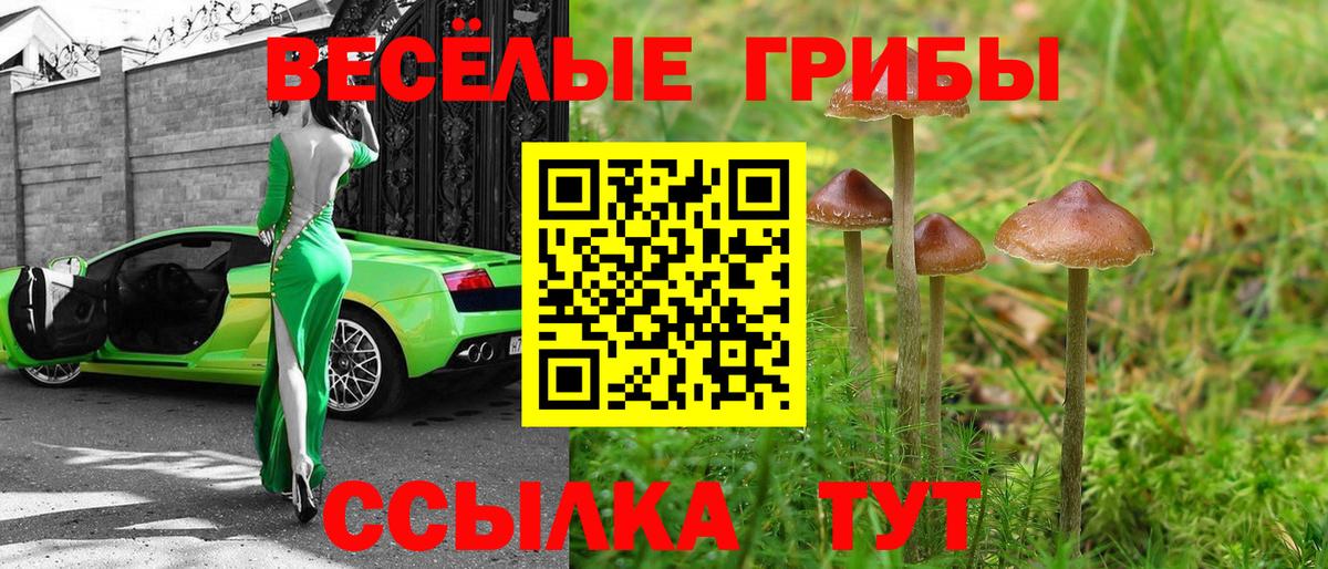 Галлюциногенные грибы мицелий  Галлюциногенные грибы Psilocybe  Брянск  как найти закладки  Вход с VPN 